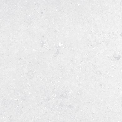Плитка Stevol | Granitto Светло Серый 60X60 4105