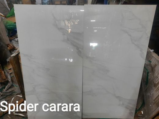 Плитка Casa Ceramica | Spider Carrara 60X120