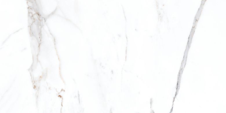Плитка Stevol | Venato White 59,5X119,5