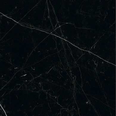 Плитка Teo ceramics (Allore) | Nero Black F P Nr Mat 47X47