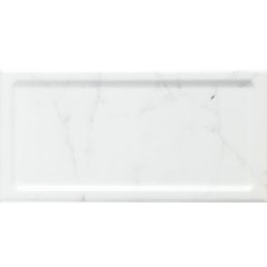 Плитка Almera Ceramica | Inmetro Carrara Brillo 10X20
