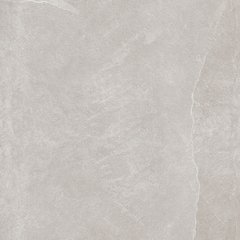 Плитка Teo ceramics (Allore) | Leon Silver F P R Mat 60X60