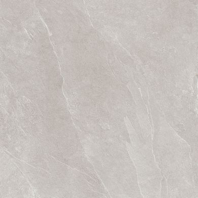 Плитка Teo ceramics (Allore) | Leon Silver F P R Mat 60X60