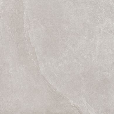 Плитка Teo ceramics (Allore) | Leon Silver F P R Mat 60X60