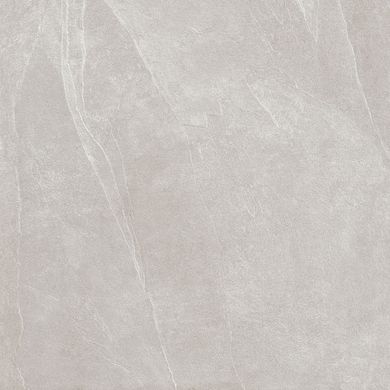 Плитка Teo ceramics (Allore) | Leon Silver F P R Mat 60X60