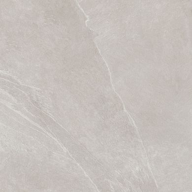 Плитка Teo ceramics (Allore) | Leon Silver F P R Mat 60X60