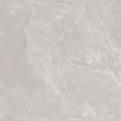 Плитка Teo ceramics (Allore) | Leon Silver F P R Mat 60X60