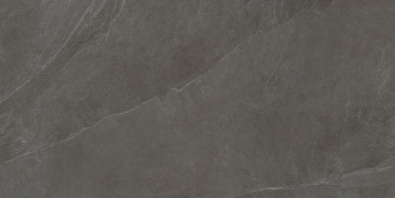 Плитка Teo ceramics (Allore) | Leon Anthracite F P R Mat 60X120