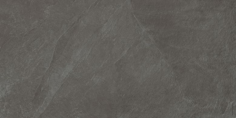 Плитка Teo ceramics (Allore) | Leon Anthracite F P R Mat 60X120