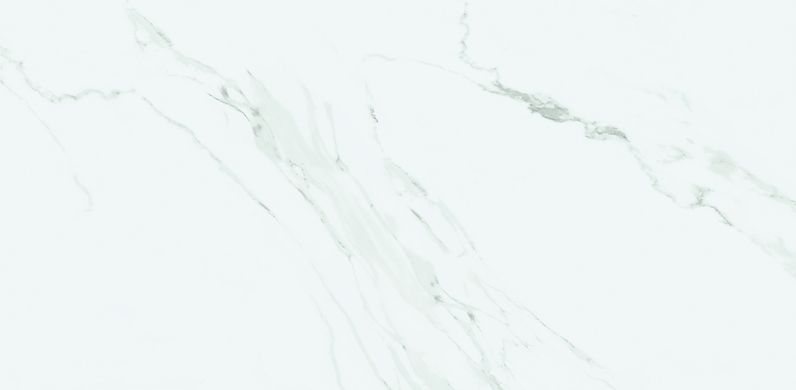 Плитка Stevol | Carrara Gris 60X120