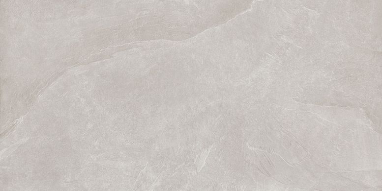 Плитка Teo ceramics (Allore) | Leon Silver F P R Mat 60X120