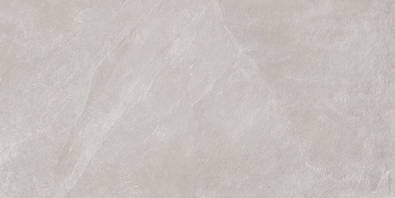 Плитка Teo ceramics (Allore) | Leon Silver F P R Mat 60X120