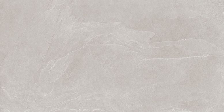 Плитка Teo ceramics (Allore) | Leon Silver F P R Mat 60X120