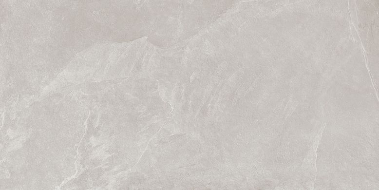 Плитка Teo ceramics (Allore) | Leon Silver F P R Mat 60X120