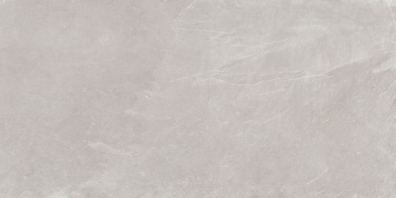 Плитка Teo ceramics (Allore) | Leon Silver F P R Mat 60X120