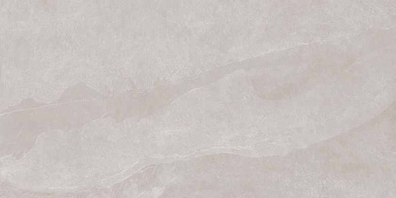 Плитка Teo ceramics (Allore) | Leon Silver F P R Mat 60X120