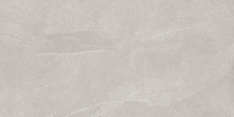 Плитка Teo ceramics (Allore) | Leon Silver F P R Mat 60X120