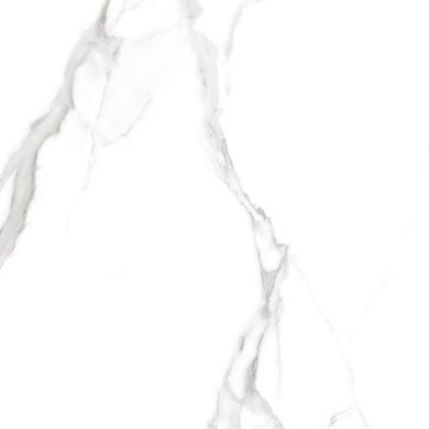 Плитка Teo ceramics (Allore) | Carrara White F P RN Mat 60X60