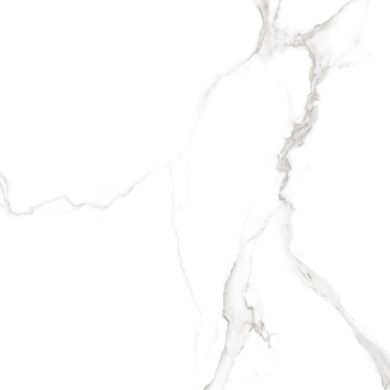 Плитка Teo ceramics (Allore) | Carrara White F P RN Mat 60X60