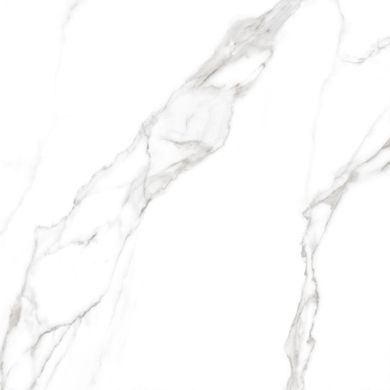 Плитка Teo ceramics (Allore) | Carrara White F P RN Mat 60X60