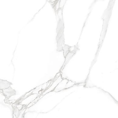 Плитка Teo ceramics (Allore) | Carrara White F P RN Mat 60X60