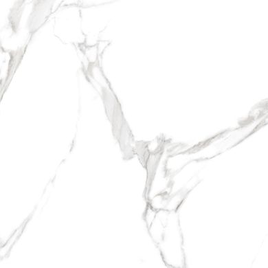 Плитка Teo ceramics (Allore) | Carrara White F P RN Mat 60X60