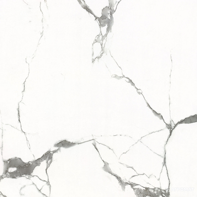 Плитка Almera Ceramica | Gxj00160S Carrara 60X60