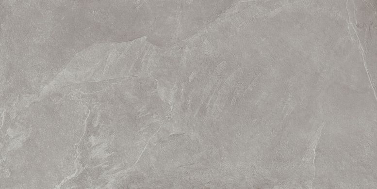 Плитка Teo ceramics (Allore) | Leon Grey F P R Mat 60X120