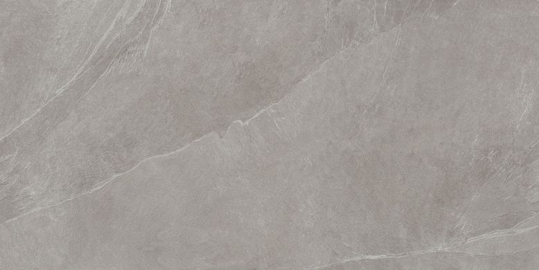 Плитка Teo ceramics (Allore) | Leon Grey F P R Mat 60X120