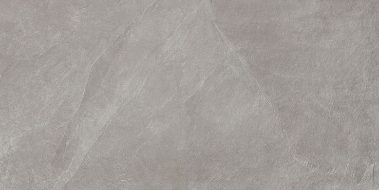 Плитка Teo ceramics (Allore) | Leon Grey F P R Mat 60X120