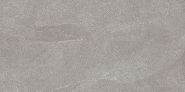 Плитка Teo ceramics (Allore) | Leon Grey F P R Mat 60X120