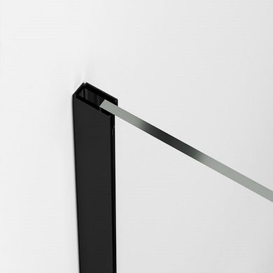 Sanswiss | STR4P1200607 BlackLine WALK-IN EASY душевая фиксированная перегородка, стекло прозрачное, проф.чорний мат