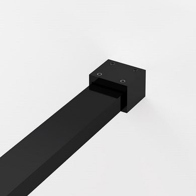 Sanswiss | STR4P1200607 BlackLine WALK-IN EASY душевая фиксированная перегородка, стекло прозрачное, проф.чорний мат