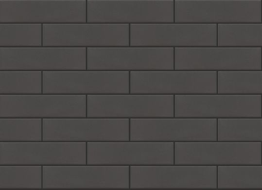 Плитка Cerrad | Facade Tile Grey Smooth / Szara 6,5X24,5