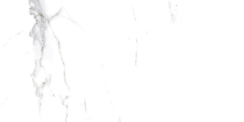 Плитка Stevol | Venato Grey 59,5X119,5