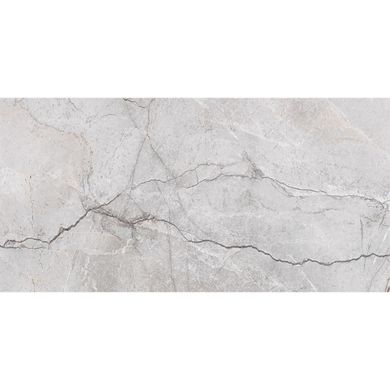 Плитка Opoczno | Stone Hills Grey Glossy Rect 29,8X59,8