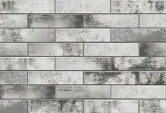 Плитка Cerrad | Stone Piatto Gris 7,4X30