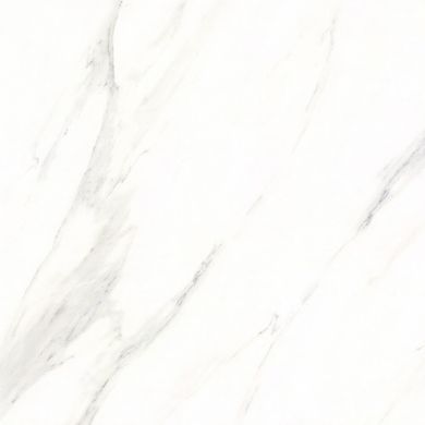 Плитка Stevol | Calacatta 60X60 X6Pt01